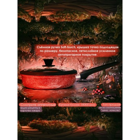 The pan-deep panoiro the brusnika, the removable handle of Soft-Touch, with a lid, d = 28 cm-2