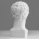 Gypsum figure Hermes head, 22 x 27 x 46 cm