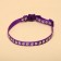 Fly collar "shower" luminous, with a bell, 30 x 1 cm, polyester, purple