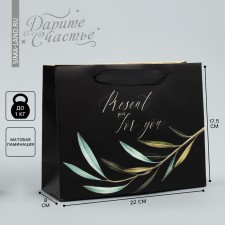 Gift Laminated Horizontal Package, Packaging, Present Just for You, 22 x 17.5 x 8 cm