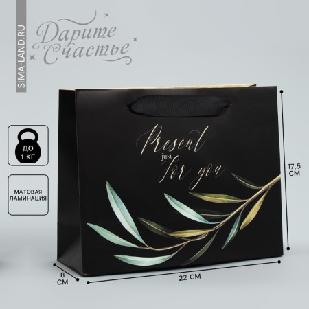Gift Laminated Horizontal Package, Packaging, Present Just for You, 22 x 17.5 x 8 cm