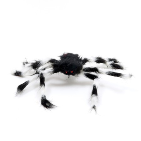 Fun "Spider", Mix colors-5