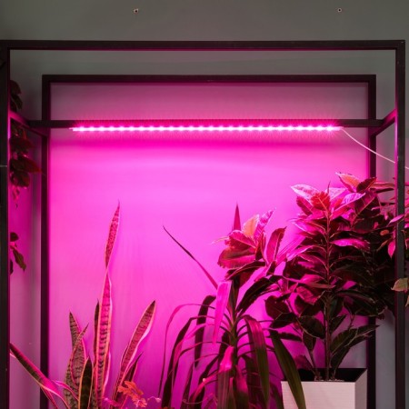 Lamp for plants LED linear, 900 mm Uniel, 14 W, LED, IP65, Color transparent-6