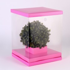 Box for flowers with a vase and PVC windows are folding, 23 x 30 x 23 cm, plain, pink