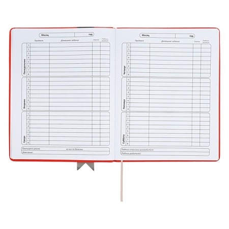 Universal diary for grades 1-11 Lenta, solid cover of artificial leather, applique, silkography, liesse, 48 sheets, red-6