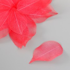Leaves sidelled for creativity 