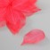 Leaves sidelled for creativity "red" set 20 pcs h = 6-6.5 cm