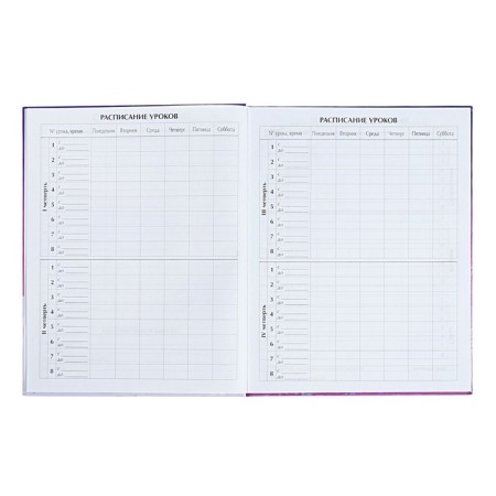 Diary for grades 1-4 "Amazing nearby", solid cover, glossy lamination, 48 sheets-5