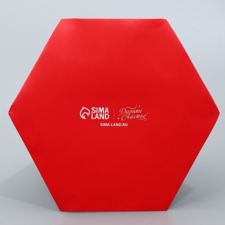Aquabox for flowers "Text", 16.5 x 16.5 x 16.5 cm-6