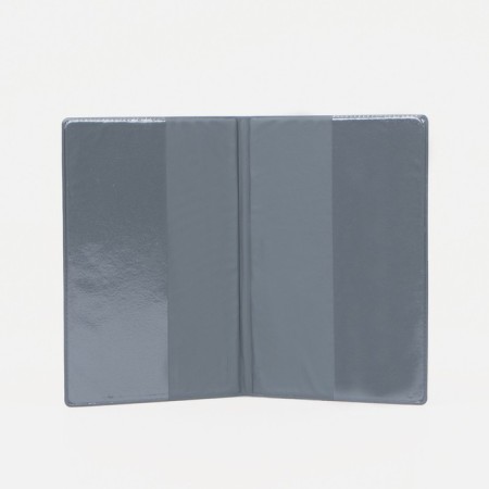 Cover for passport, blue color-2