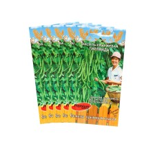 Seeds of beans 