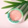 Blush with oil murumur Physicians Formula Murumuru Butter Blush, tone ripe peach, 7.5 g 92787