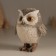 Souvenir Polystone "Funned Owl" 9.5x6.6x11.5 cm