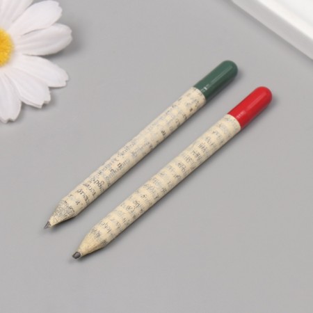 Growing gift pencils Mini "Lion Zev + Clove" set 2 pcs.-3
