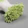 Stamens for artificial flowers gloss "risinki" light green set 360 pcs length 6 cm