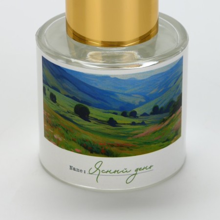Diffusor aromatic "clear day", rose, 50 ml.-4