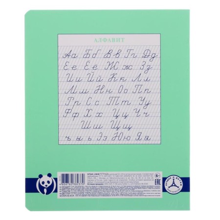 Notebook of 12 sheets, in a frequent slanting ruler, "panda-tetrand", covered cardboard, unit 80 g/m², is suitable for feathers and capillary handles-2