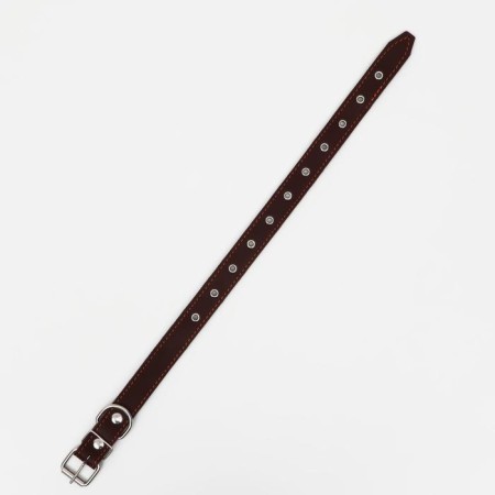 Leather collar on synthetic winterizer, dimensionless, 65 x 3 cm, Osh 22-55 cm, brown-2
