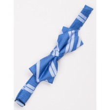 Tie-butter for boys ise, blue color
