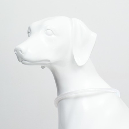 Collar - backlighting ring, charging from USB, up to 70 cm, 3 glow modes, multi -c.-2