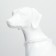 Collar - backlighting ring, charging from USB, up to 70 cm, 3 glow modes, multi -c.