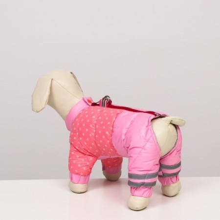 Dogs "Polit", size 14 (DS 27, OG 38, Osh 30 cm), pink-2