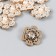 Decor for creativity plastic, rhinestones "Golden flower with bead" set 10 pcs 3x3 cm