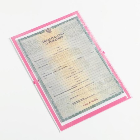 Folder for the birth certificate "Bunny", a5-3
