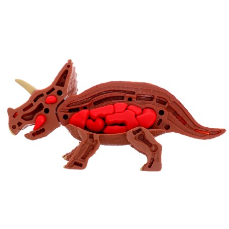 Set for experiments "Dinomir: Tecratops", the structure of the body of the dinosaur-9