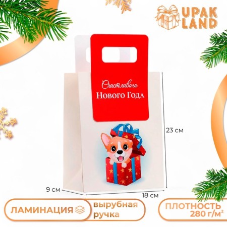 New Year. Gift package with a trim “Best Gift” 18 x 23 x 9 cm.