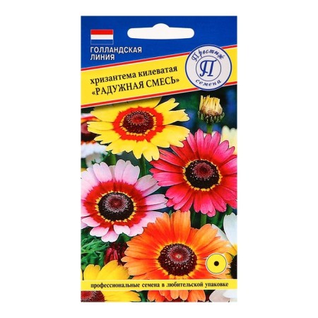Seeds of chrysanthemum flowers Rainbow mixture RS-1, O 0.05 g-2