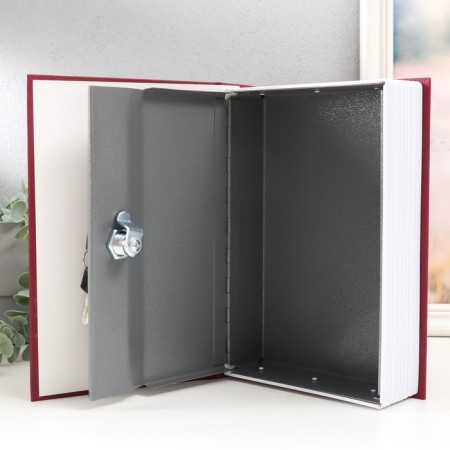 Casket safe Book Plastic, Metal "Dictionary of English" 5.5x15.5x24 cm-2