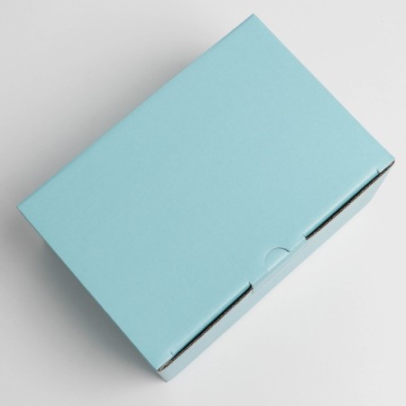 Gift folding box, packaging, Tiffany, 22 x 15 x 10 cm-2