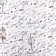 Paper Glossy "branches", 70 x 100 cm, 1 sheet