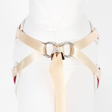 A set with a soft cage "Cell", size L, leash 120 x 1.5 cm, og 42-76 cm, red-6