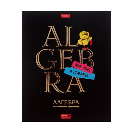 Notebook of 46 sheets in the daring algebra cage, covering cartoon, matte lamination, selective varnish, with reference information