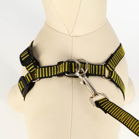 Acunition set is relief, leash 120 x 1.5 cm, OG 36-49 cm, yellow-black-3