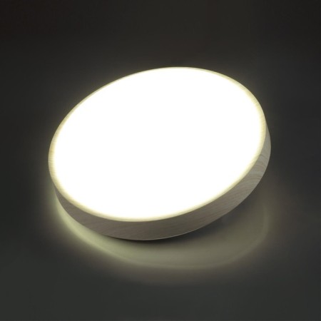 Losta LED 30W 4000K D340 IP43-2