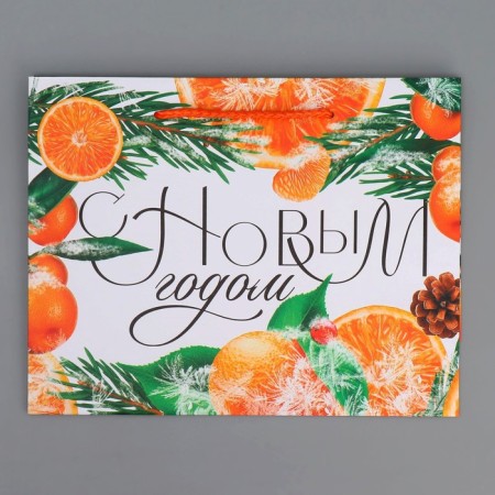 Laminated horizontal “Citrus cocktail” laminate, MS 23 x 18 x 8 cm, New Year-6