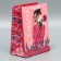 Package Gift Laminated Vertical, Packaging, "Style", MS 18 x 23 x 10 cm