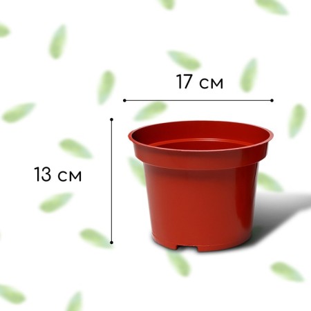 Pot for seedlings, 2 l, d = 17 cm, h = 13 cm, terracotta, greengo-1