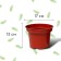 Pot for seedlings, 2 l, d = 17 cm, h = 13 cm, terracotta, greengo