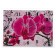 Carty watch is wall-mounted, interior "pink orchids with a pattern", silent, 25 x 35 cm