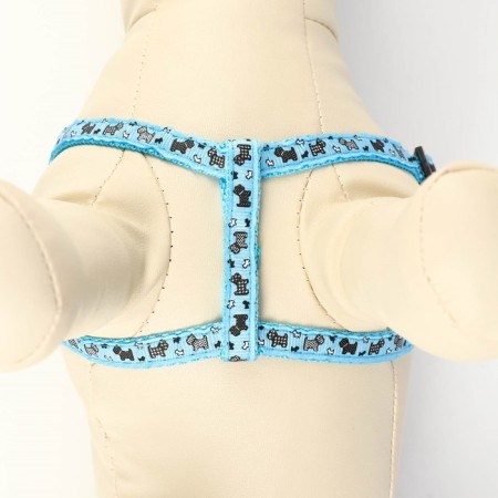 Set "Dogs", leash 120 x 1 cm, og 23-35 cm, blue-4