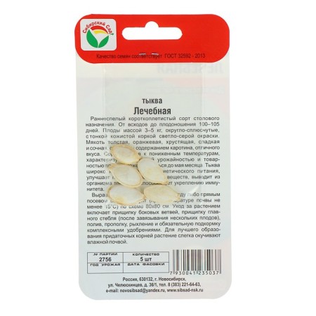 Seeds of Pumpkin "Therapeutic", 5 pcs-2