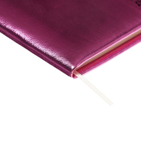 Universal diary for grade 1-11 Smart Thoughts, hard cover, artificial leather, foam rubber, silkography, lies, 80 g/m2-2