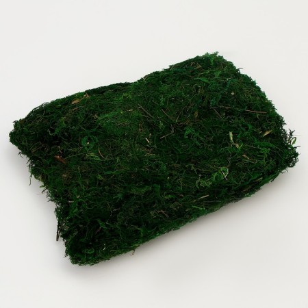 Moss for decor, 80 g, size: 3 × 20 × 15 cm-1