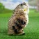 Garden figure "Eagle" decor on a branch 19cm