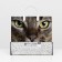 Kat package, soft plastic, 30 x 30 cm, 150 μm