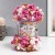 6402 raspberry-white